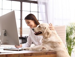 Getting a Mortgage When You're Self Employed